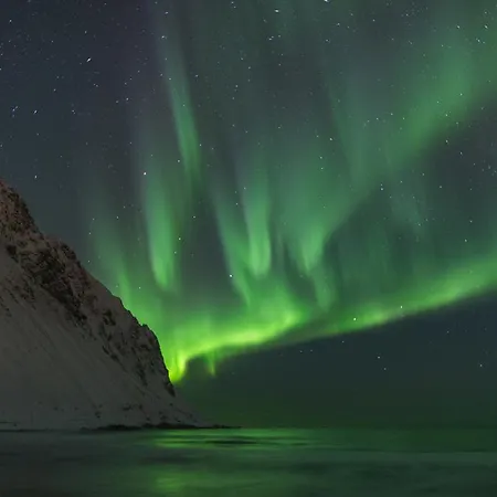 Lofoten Apartman Leknes